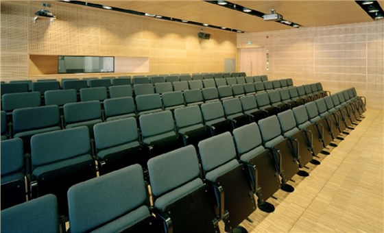 學校報告廳座椅|報告廳家具 - 辦公家具工廠-酒店家具生產廠家-學校家具生產工廠-醫療養老家具生產定制-年產值近30億集團公司批發